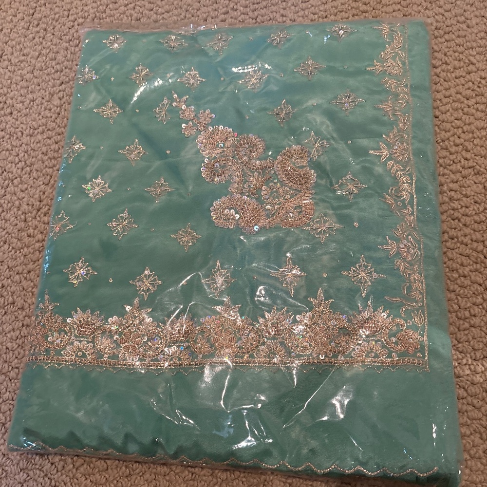 🆕 Mint Green Saree